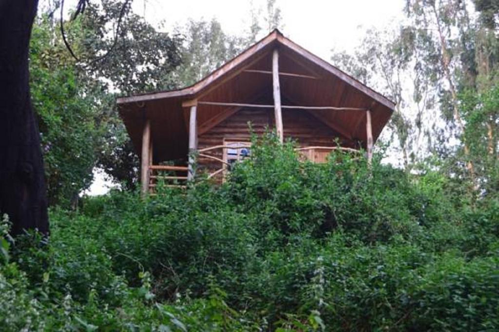 Lake Bunyonyi Eco Resort Chabahinga Chambre photo